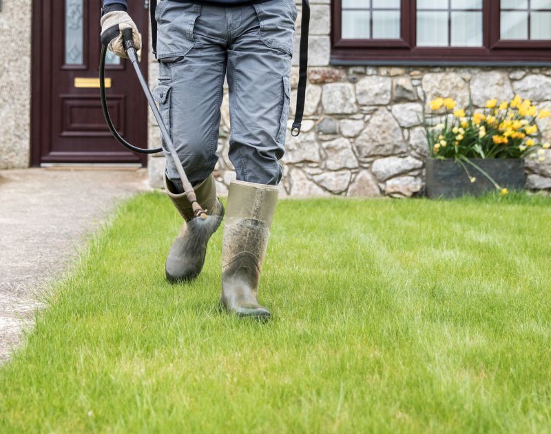 Masonry Work in Spring