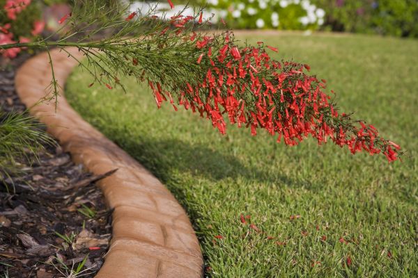 Brick Edging in Coeur D Alene